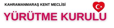 Kent Meclisi Yürütme Kurulu